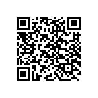 QWN.600-2021 YE3系列(IP55)三相异步电动机技术条件(机座号63～355)