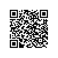 QWN.621-2022 YFBBP 系列粉尘防爆型变频调速三相异步电动机技术条件(机座号80～355)