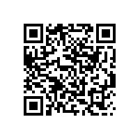 QWN.823-2022 YFB系列(6kV)高压高效率粉尘防爆三相异步电动机技术条件（机座号355-560）