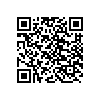 皖南电机样本-YBBP系列