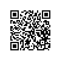 皖南电机一批先进集体和个人受上级团组织表彰
