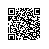 皖南电机一体化体系运行正常有效