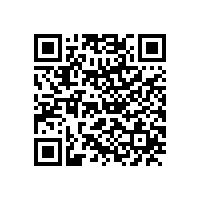 公司举行“皖南电机厂”景石揭幕仪式