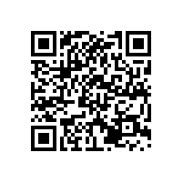 QWN.211-2021 YJZ2系列机床专用三相异步电动机技术条件（机座号80～355）