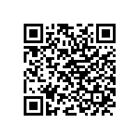 皖南电机党委召开 纪念“七一”暨“两先一优”表彰会