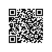 皖南电机各党支部举行换届选举