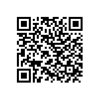 皖南电机举办庆祝建党95周年表彰大会