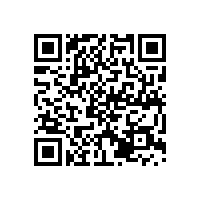 皖南电机信息化升级项目蓝图汇报会