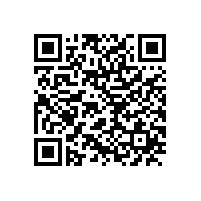 皖南电机应邀参加中国港口协会筒仓与散粮运输分会年度工作会