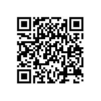 安标国家中心专家组来皖南电机进行监督评审