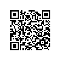 美国艾默生电气公司