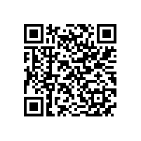 泾县女企业家沙龙在皖南电机举行