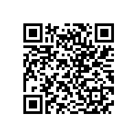 皖南高压电机-YHP系列（电站磨煤机专用）