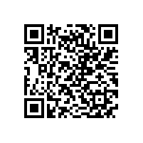 皖南高压电机-YR系列