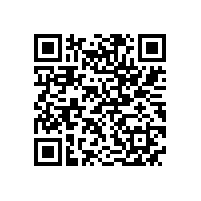 宣城市委书记李中来皖南电机调研