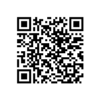 QWN.600-2021 YE3系列(IP55)三相异步电动机技术条件(机座号63～355)