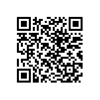 QWN.621-2022 YFBBP 系列粉尘防爆型变频调速三相异步电动机技术条件(机座号80～355)