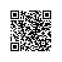 武钢公司来皖南电机进行二方审核