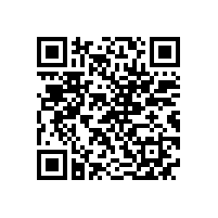 皖南电机各党支部举行换届选举