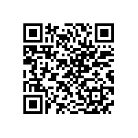 皖南电机应邀参加中国港口协会筒仓与散粮运输分会年度工作会