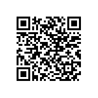 皖南电机召开基干民兵点验大会