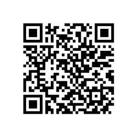 中机企协常务副会长杨一平来皖南电机调研指导