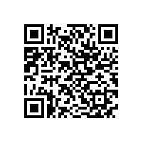 合工大智能院专家来访