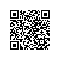 NS系列超高效不锈钢电机