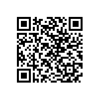 皖南电机再次进入“中国机械500强企业”