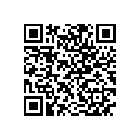 宣城市委书记李中来皖南电机调研