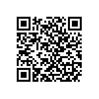 优化管理效能 筑牢新质生产力根基