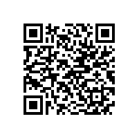 高压电机与低压电机相比有哪些优缺点