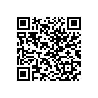 QWN.211-2021 YJZ2系列机床专用三相异步电动机技术条件（机座号80～355）