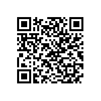 水环式真空泵低压交流电动机烧毁的原因分析及处理