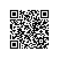 皖南电机被评为“优秀供应商”
