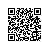 皖南电机举办销售经理新春座谈会