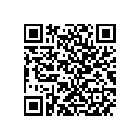 优化管理效能 筑牢新质生产力根基