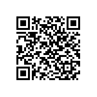 安徽省“调转促”专家组来皖南电机支招