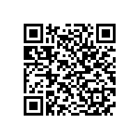 安徽省人大副主任臧世凯考察皖南电机