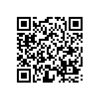 德国电机专家应邀来我公司做技术指导工作