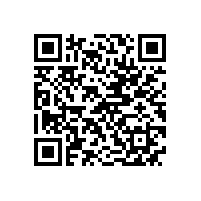 高压电机与低压电机相比有哪些优缺点