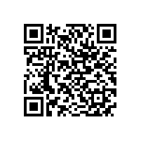 合工大智能院专家来访