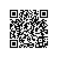 QWN.211-2021 YJZ2系列机床专用三相异步电动机技术条件（机座号80～355）