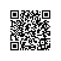 皖南电机举办销售经理新春座谈会