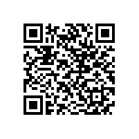 皖南电机召开基干民兵点验大会