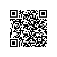 优化管理效能 筑牢新质生产力根基