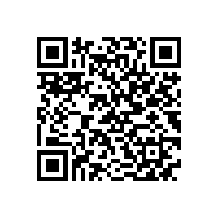 安徽省“调转促”专家组来皖南电机支招