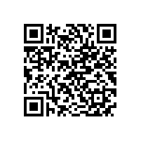 第十七届中国电机及系统发展论坛在泾县隆重举行