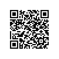 “高速动车组机车试验台用异步牵引电动机的研发”项目通过省级验收