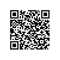 合工大智能院专家来访